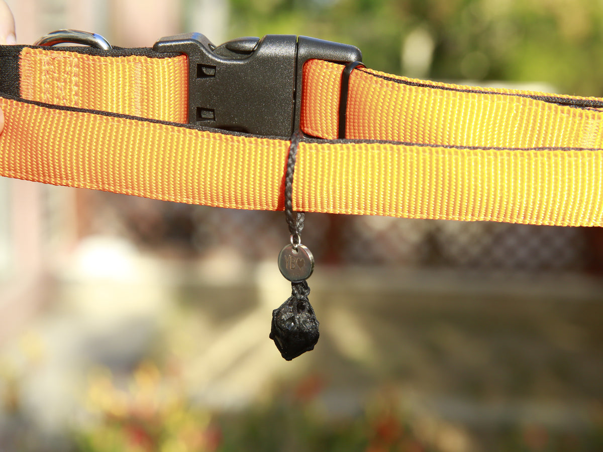 Single Black Obsidian pet pendant attached directly around an orange pet collar using its adjustable black waxed cord loop