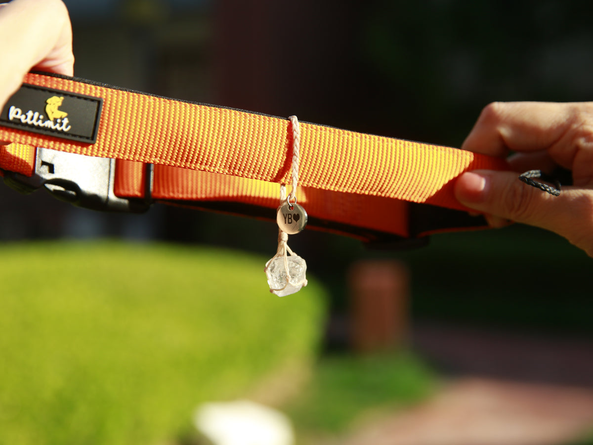 Beige Clear Quartz pet pendant attached directly around an orange collar with its adjustable waxed cord loop